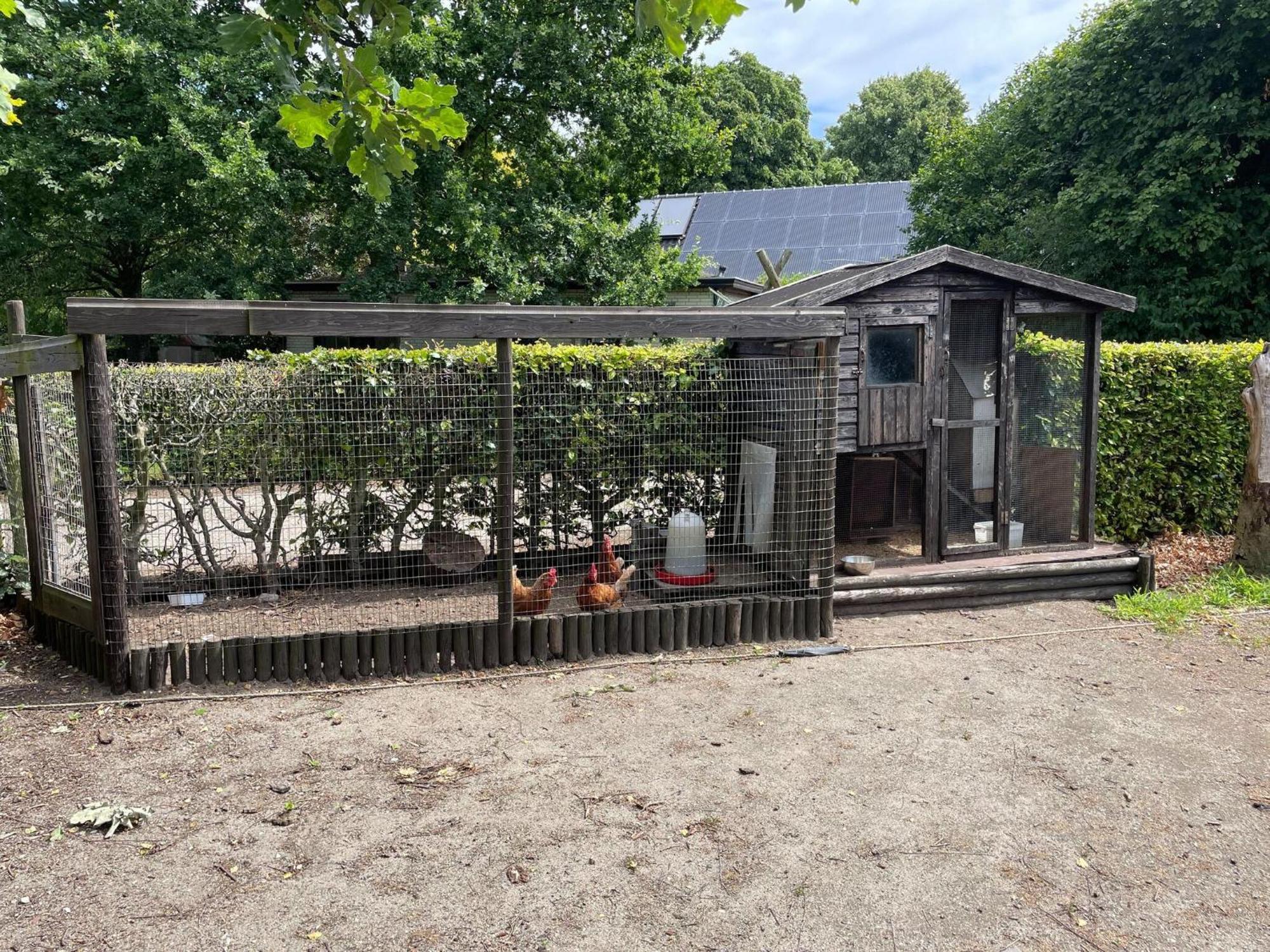 Willa Completely Renovated Back Part Of A Farm Uden Zewnętrze zdjęcie